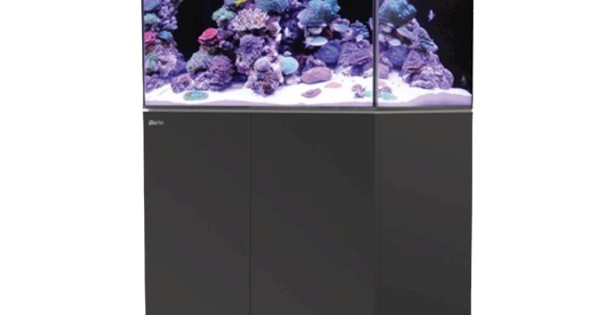 REEFER 250 - Black